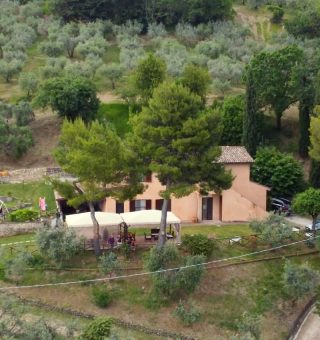 img-casale
