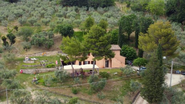 img-casale