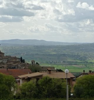 IMG_20230425_160725-1