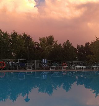 il_drago_piscina-scaled