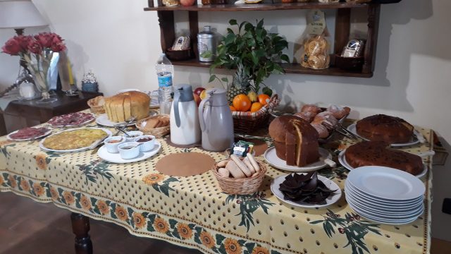 20220417_081428-scaled